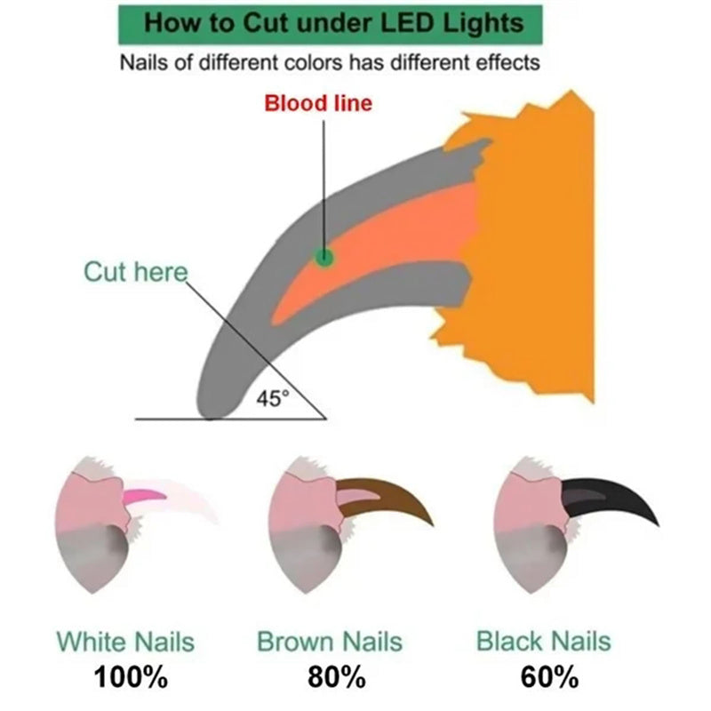 Pet Nail Clippers with LED Light – Professional Dog & Cat Nail Trimmer