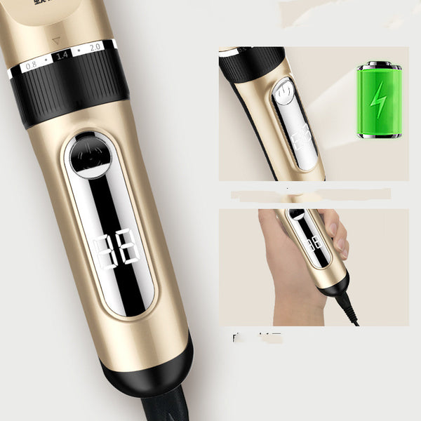 Pet Hair Clippers And Dog Shaver