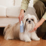 Dog Grooming Silicone Massage Brush, Deodorant Cleaning Comb for Fur Removal