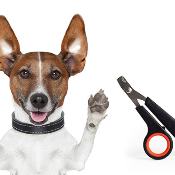 Dog Nail Clipper Pet Nail Scissors