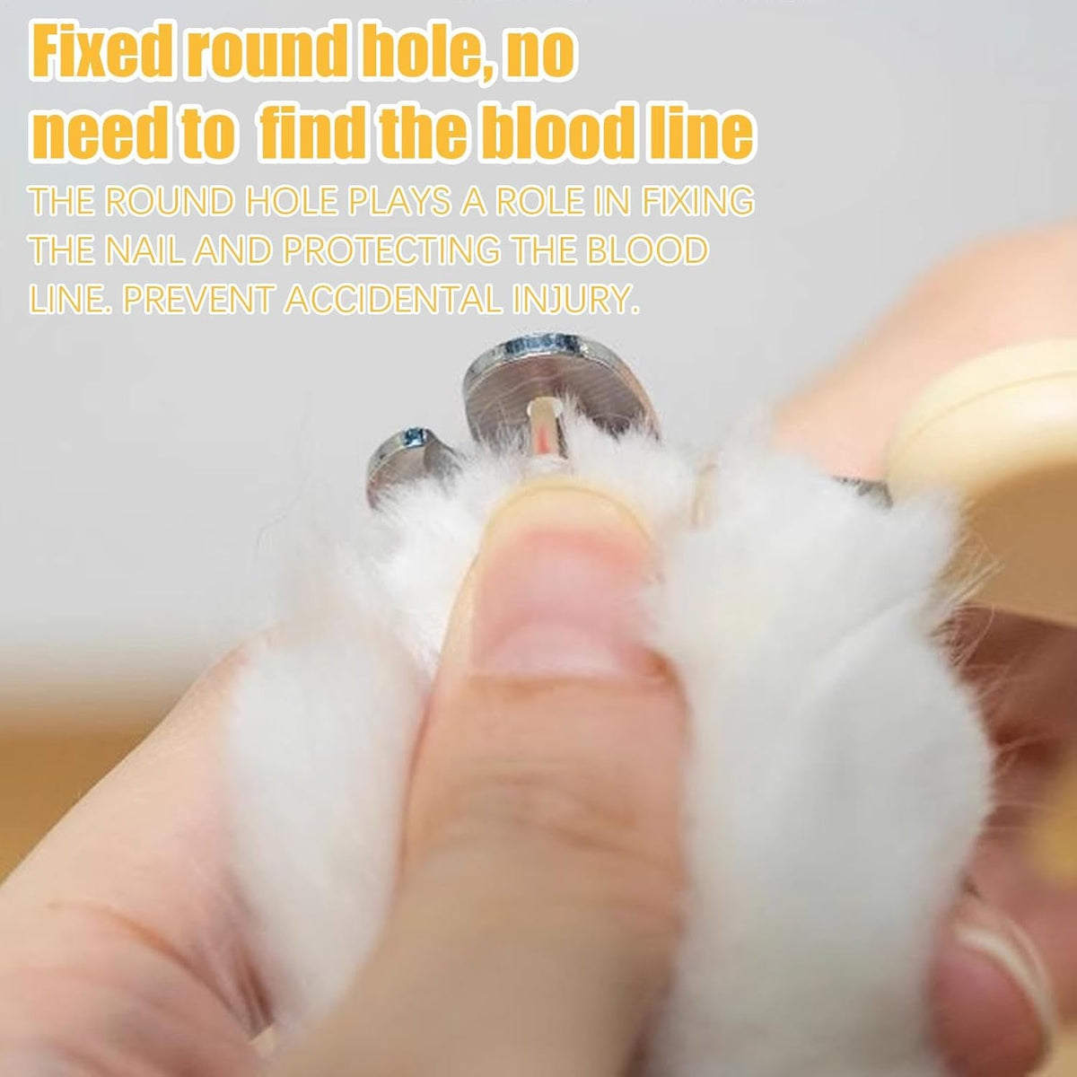 Professional Pet Nail Clippers – Cat & Small Dog Claw Trimmer