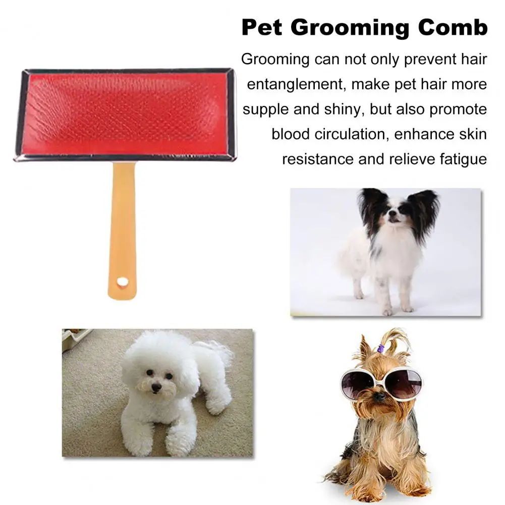 Stainless Steel Pet Grooming Comb – Dog & Cat Fur Detangler